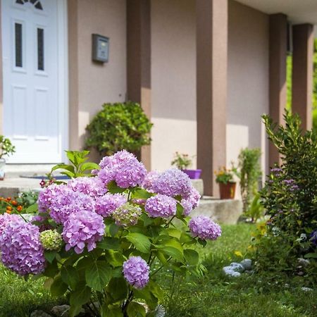 Kuca Bulajic Apartment Budva Luaran gambar