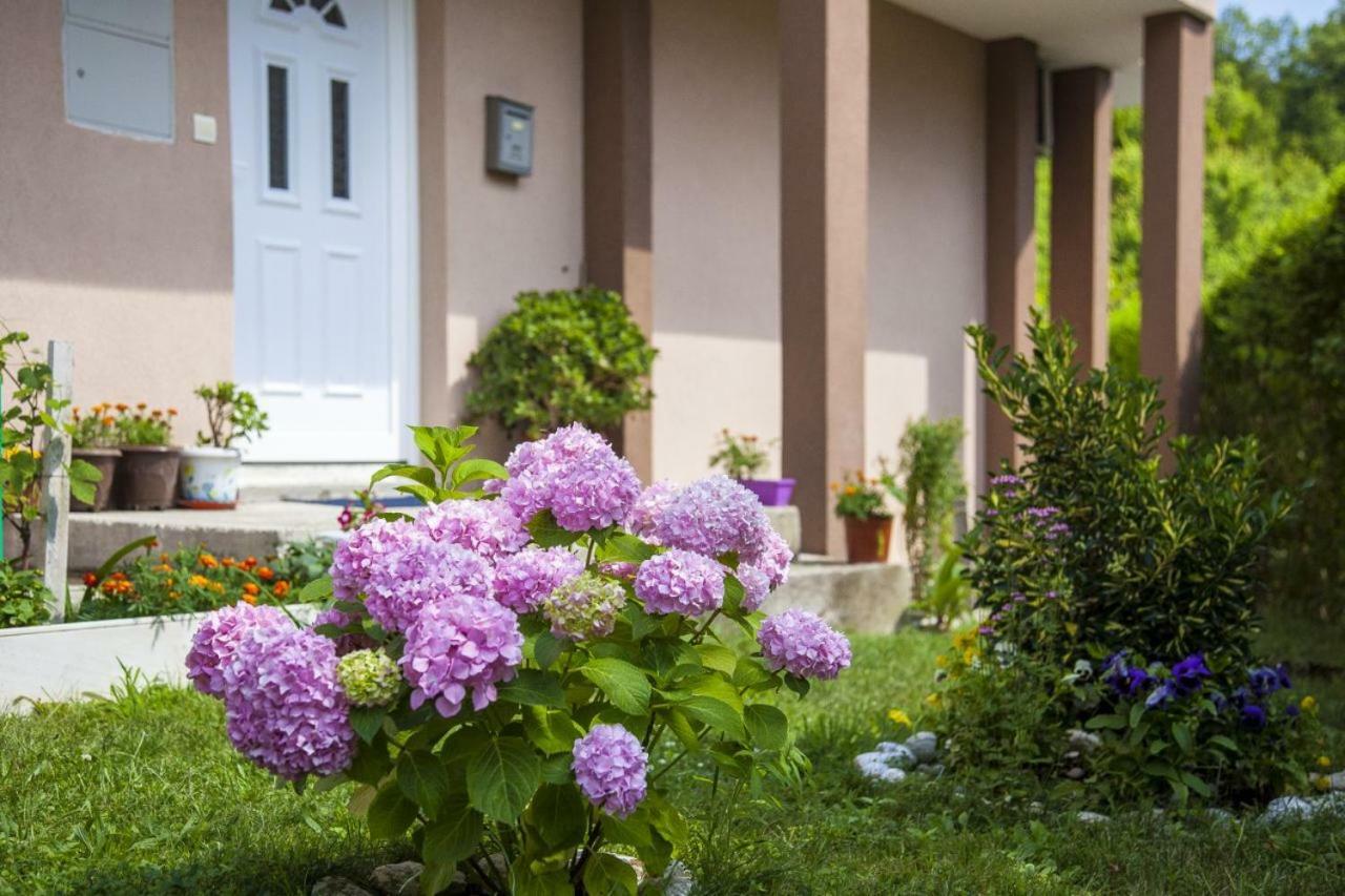 Kuca Bulajic Apartment Budva Luaran gambar