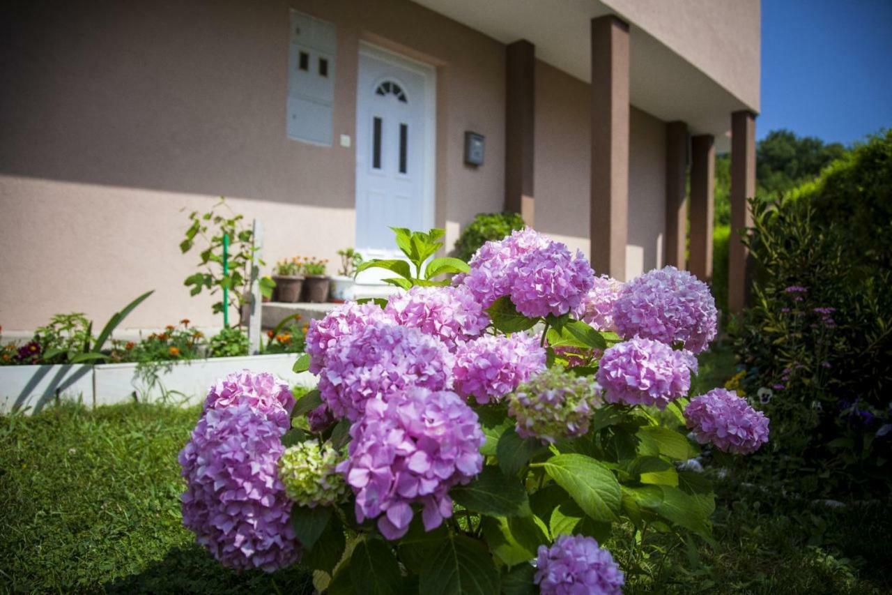 Kuca Bulajic Apartment Budva Luaran gambar